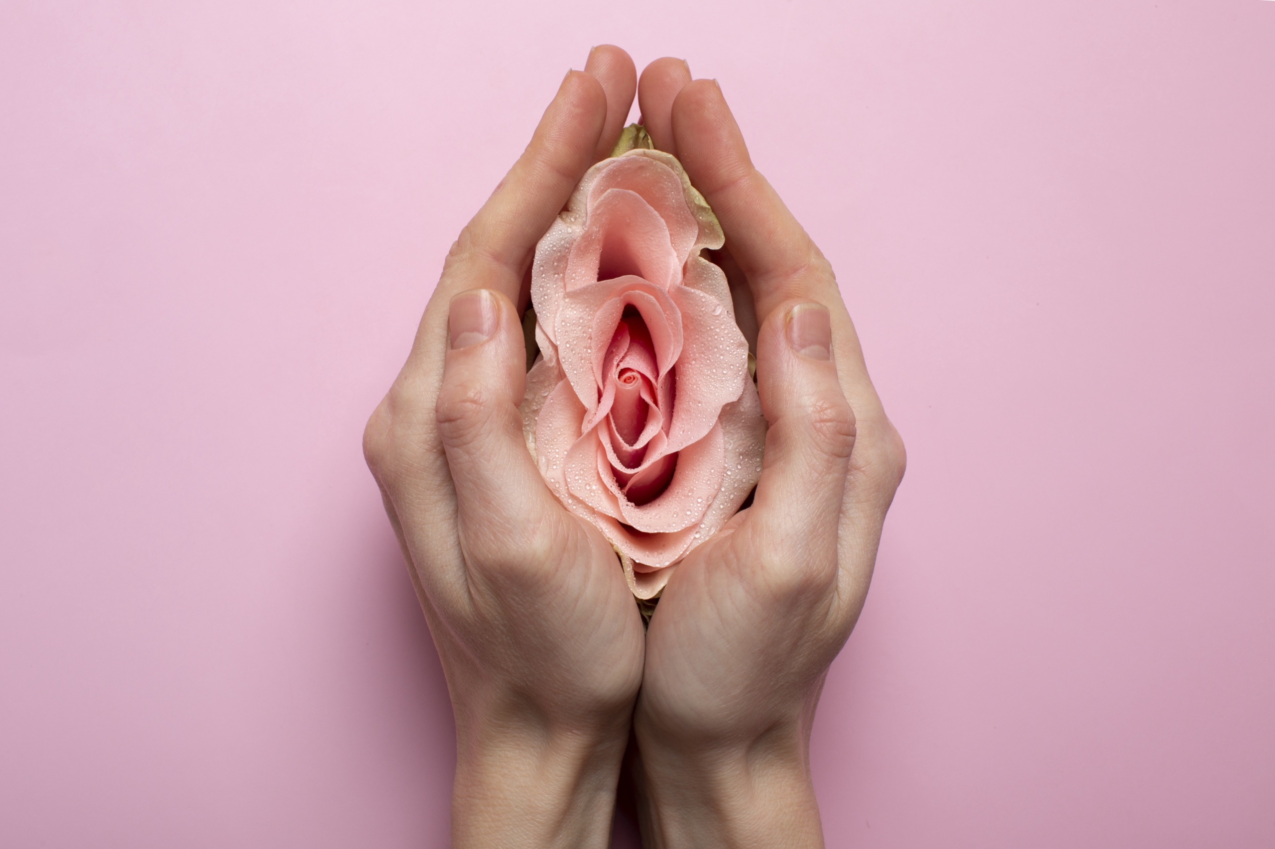 labiaplasty charlotte nc